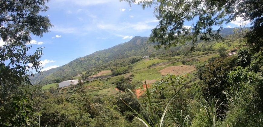 VENDO LOTE EN BARBOSA