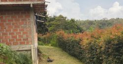 VENDO FINCA EN RIONEGRO