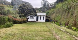 VENDO FINCA EN RIONEGRO