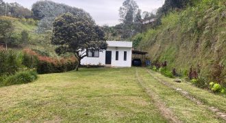 VENDO FINCA EN RIONEGRO