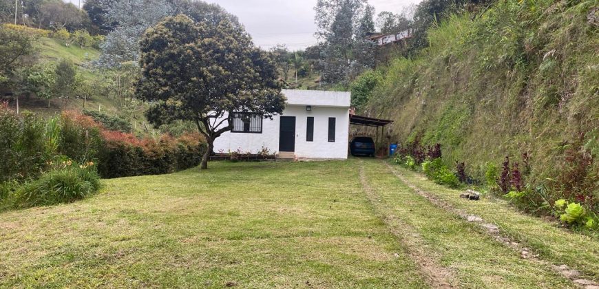 VENDO FINCA EN RIONEGRO