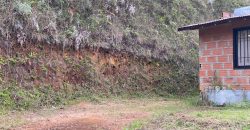 VENDO FINCA EN RIONEGRO