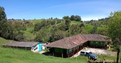 VENDO FINCA DON MATÍAS