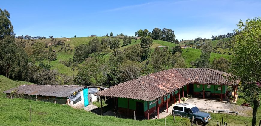 VENDO FINCA DON MATÍAS