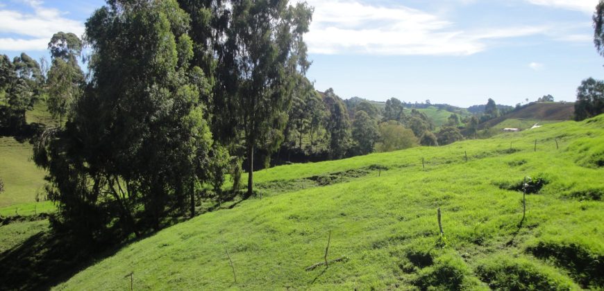 VENDO FINCA DON MATÍAS