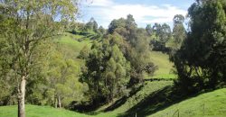 VENDO FINCA DON MATÍAS