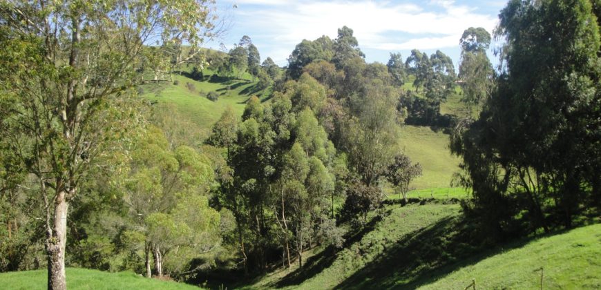 VENDO FINCA DON MATÍAS