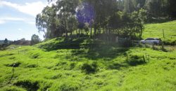 VENDO FINCA DON MATÍAS