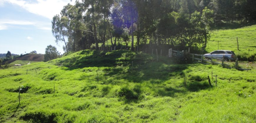 VENDO FINCA DON MATÍAS