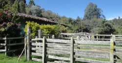 VENDO FINCA DON MATÍAS