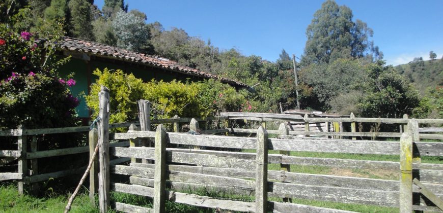 VENDO FINCA DON MATÍAS