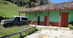 VENDO FINCA DON MATÍAS