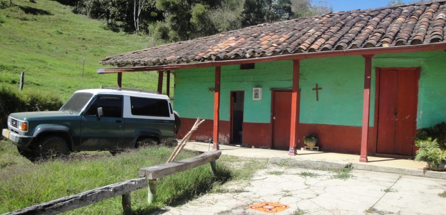 VENDO FINCA DON MATÍAS