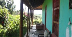 VENDO FINCA DON MATÍAS