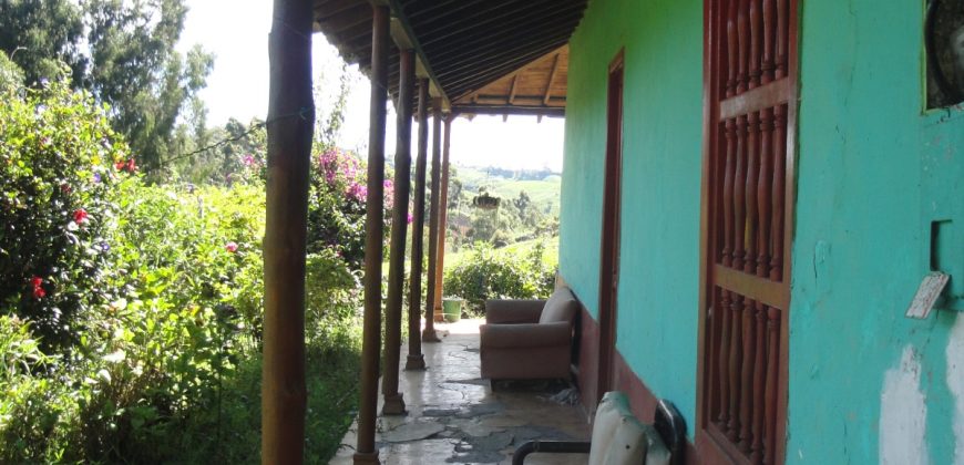 VENDO FINCA DON MATÍAS