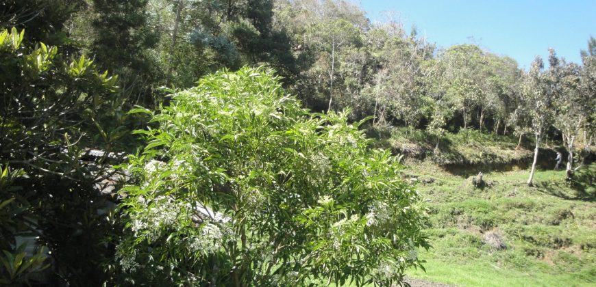 VENDO FINCA DON MATÍAS