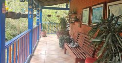 VENDO FINCA EN GUARNE