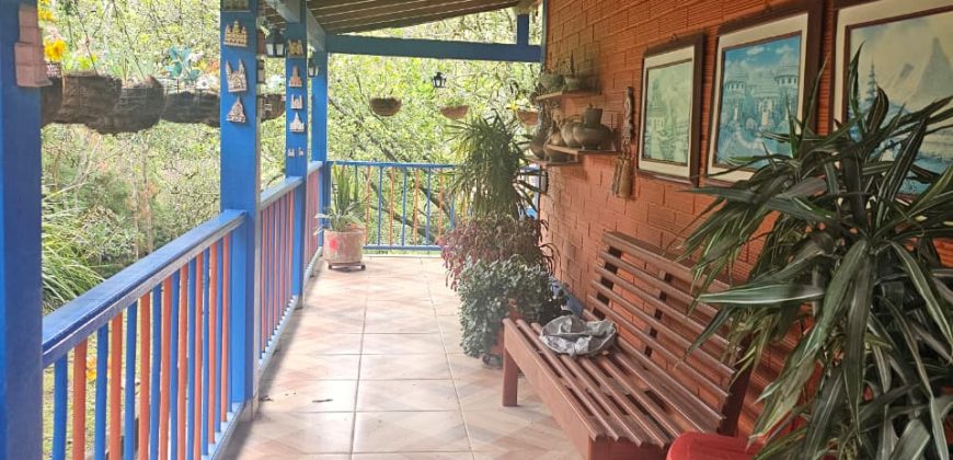 VENDO FINCA EN GUARNE