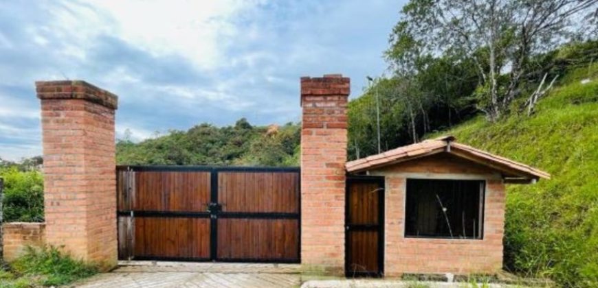 VENDO LOTE EN CISNEROS