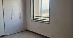 ARRINDO APARTAMENTO EN SURAMERICANA